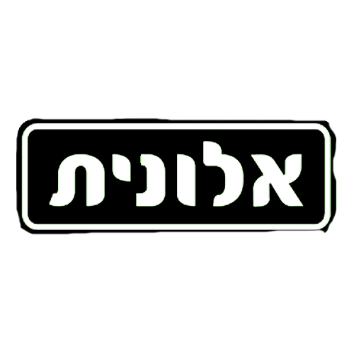 פנג1