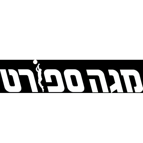 פנג3